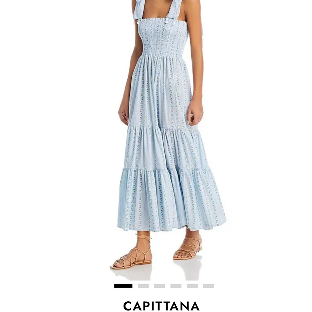 Evita Ditsy Flowers Maxi Dress